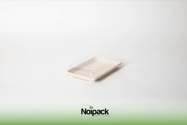 NoiBIO bagasse sushi tray 13,5x21,5cm (2)