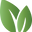 Noipack logo